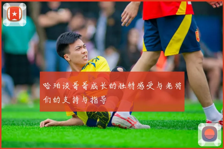 哈珀谈哥哥成长的独特感受与老将们的支持与指导