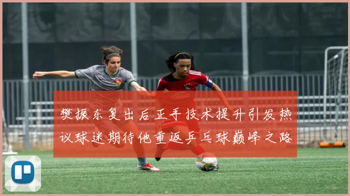 樊振东复出后正手技术提升引发热议球迷期待他重返乒乓球巅峰之路