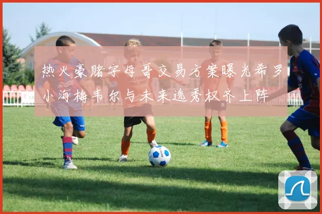 热火豪赌字母哥交易方案曝光希罗小海梅韦尔与未来选秀权齐上阵